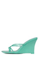Mint Patent