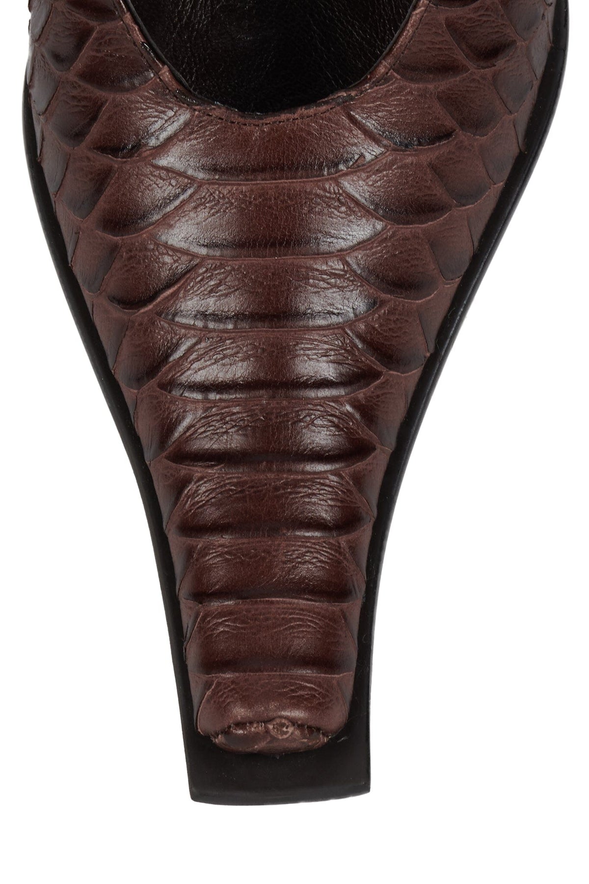 Jeffrey Campbell PARALLAX Heeled Mule - Brown Snake